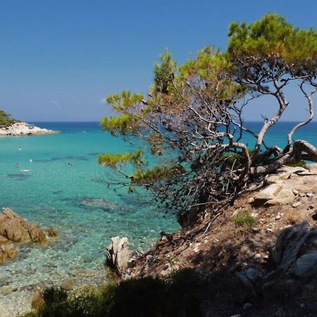 Hotel Alexandros ออร์โมส ปานากีอาส ภายนอก รูปภาพ