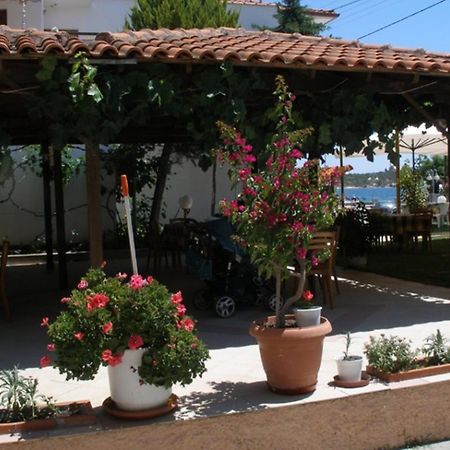 Hotel Alexandros ออร์โมส ปานากีอาส ภายนอก รูปภาพ